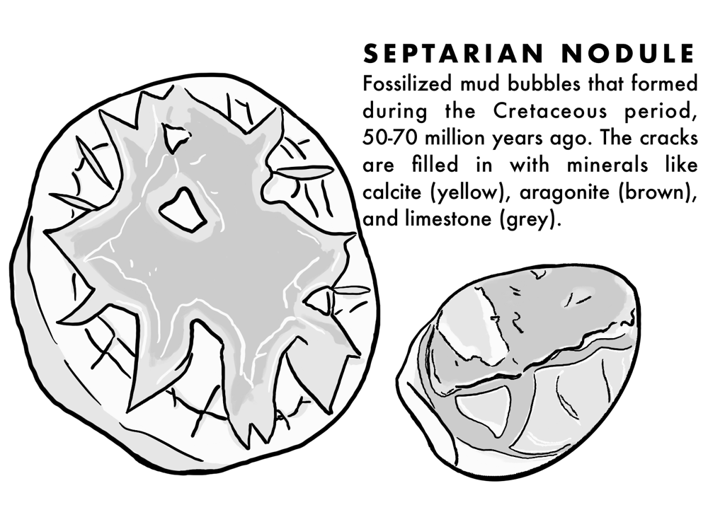 A Septarian Nodule blurb